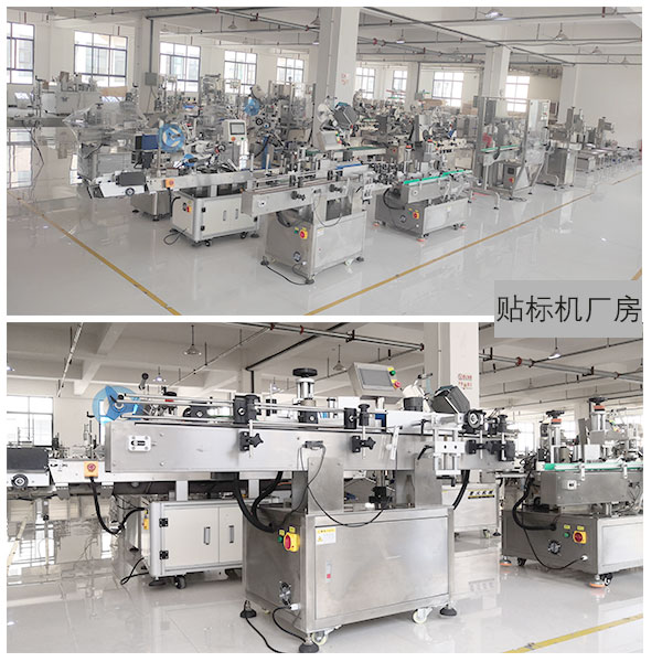 �Զ������