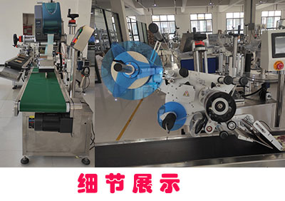 �Զ������